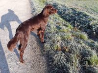 Estrella V D Frankenhoehe